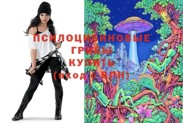 меф Протвино
