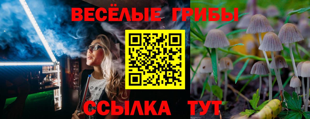 Круглые  Канабис  Масло ТГК  Alpha PVP  MDMA  МЕФ  Полысаево  Вход с VPN  Плюхи  Меф  МАРИХУАНА 